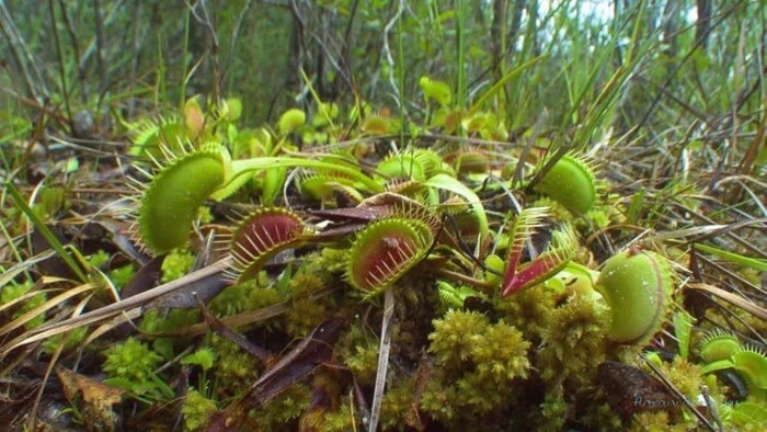 �������� ���������. ������ �� ����� �����������