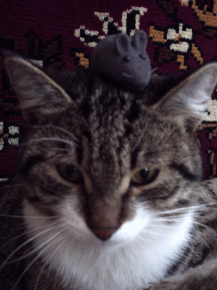 ��� ��� ����� � �����... ������ ��������, � ���� ����� �� ������.