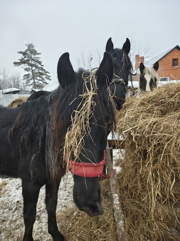 ��� �������������� � �������������!