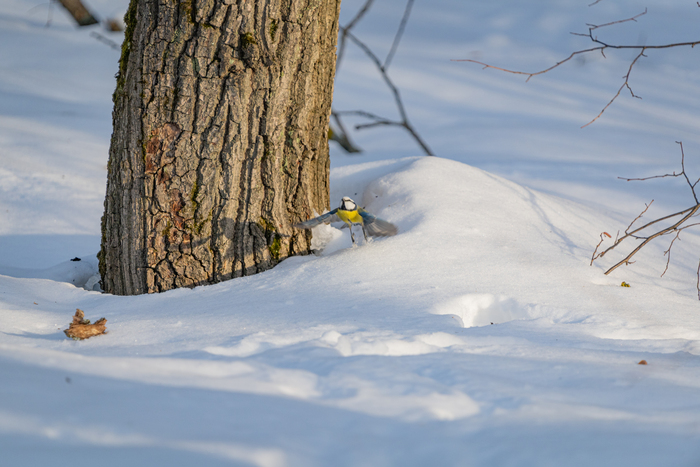 ��������� �� �����