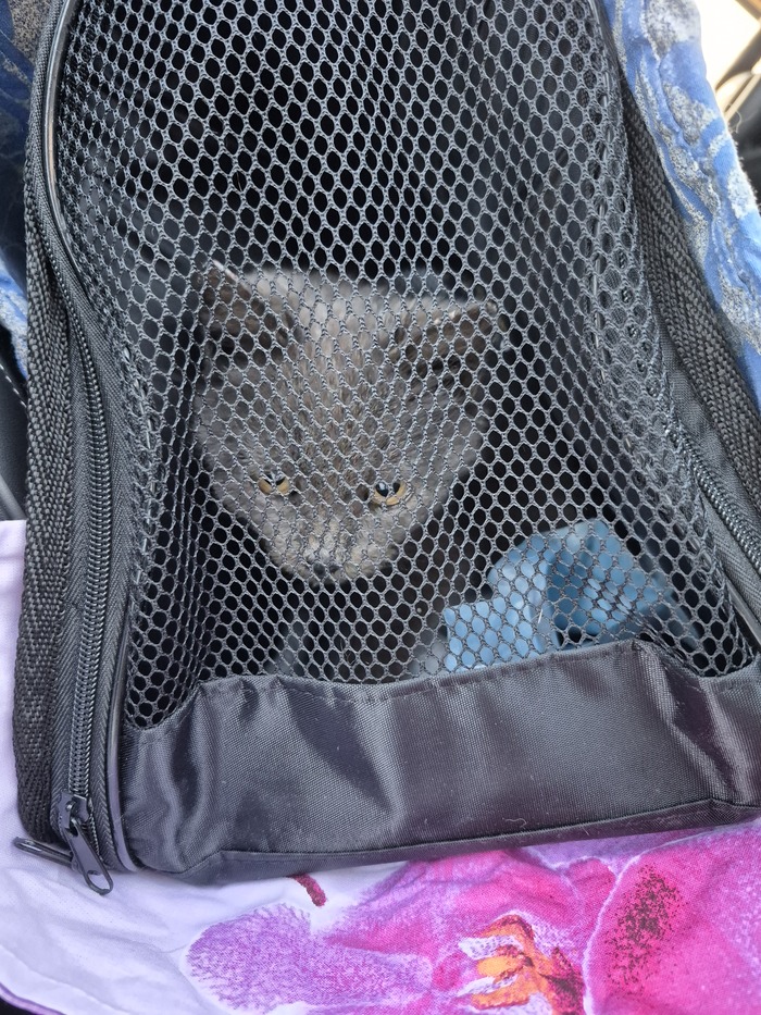 ������ ������ ����� ���������