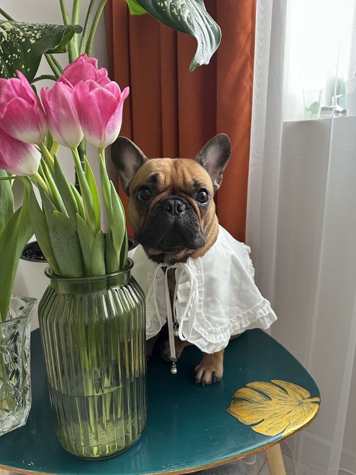 � 8 �����, ����