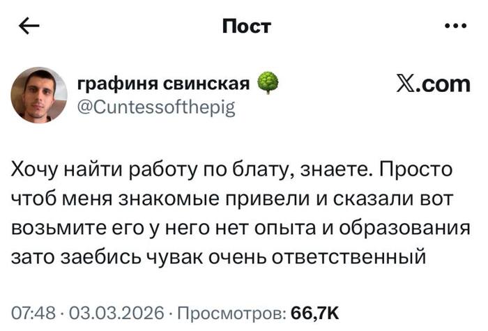 ���� ���� ���