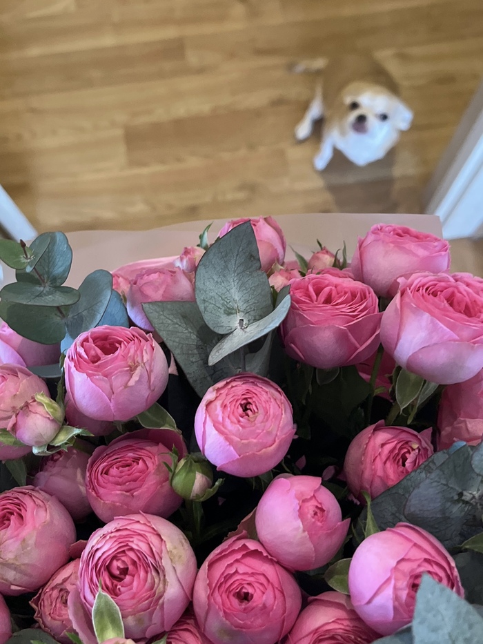 ������� ����� - ������ ��������!