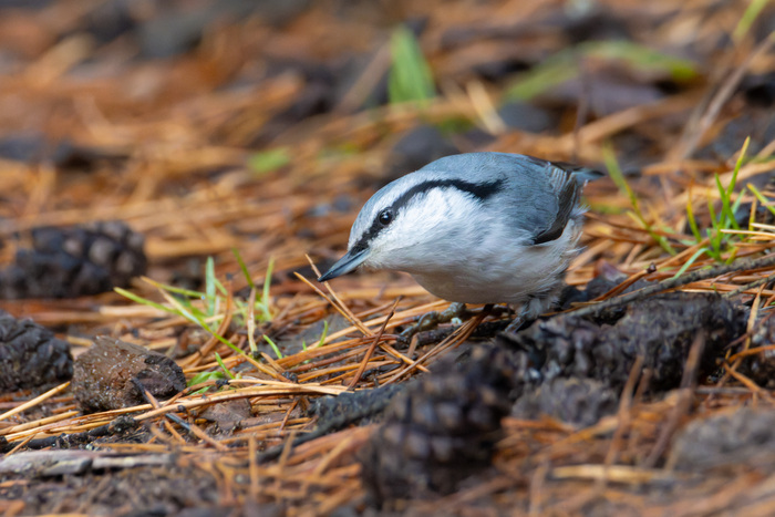 "� ����� �����! � � �� ����� ������?"