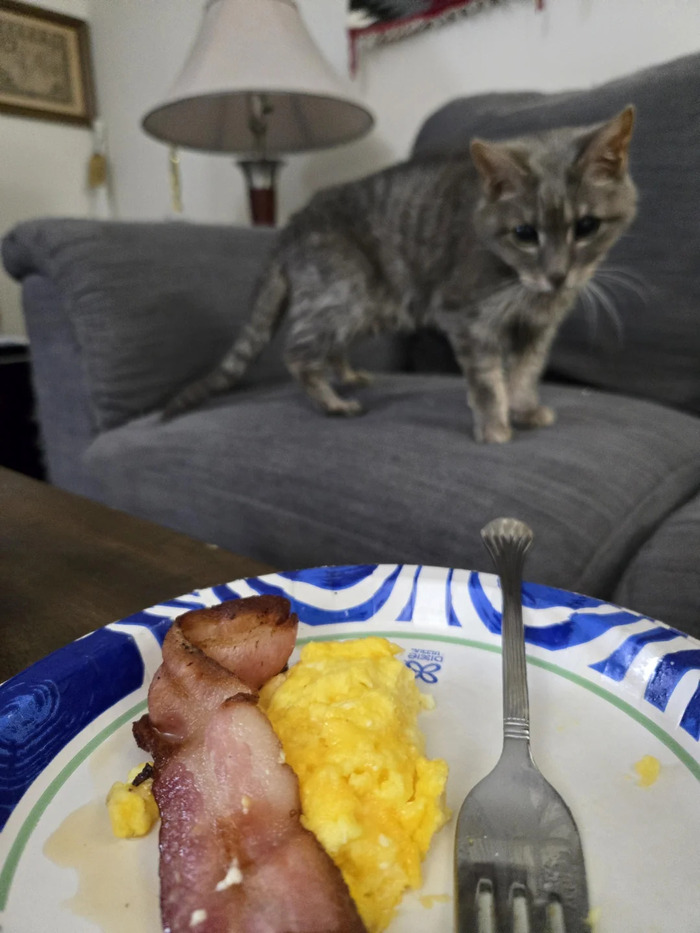 Неужели ты всё это съешь сам?...