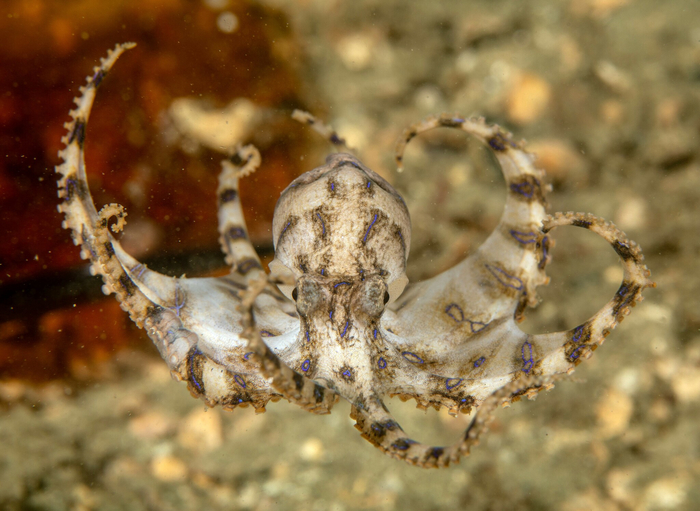 ������ ��������� ������ ����� ����� � ������. �� �� ����� ������ �������� ������� ������������ ��������.