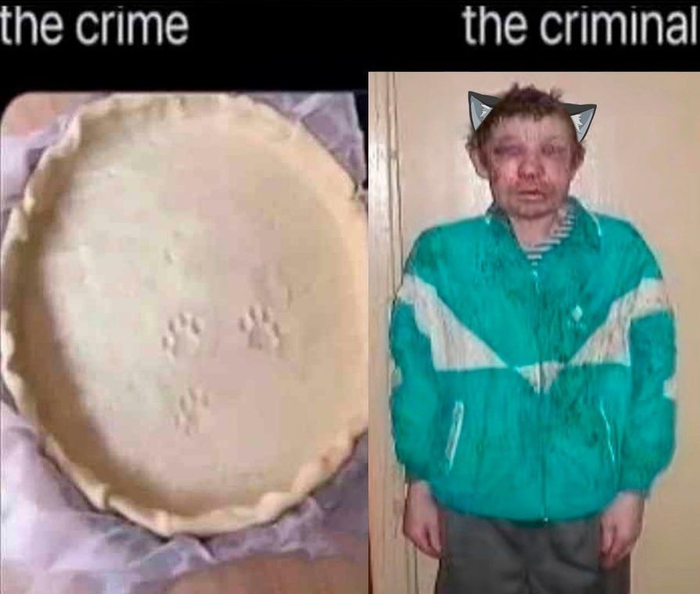 ���������� � ������������