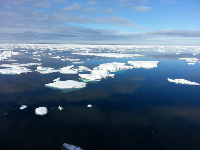 ��� ����� � �������, ��� ������� ������.