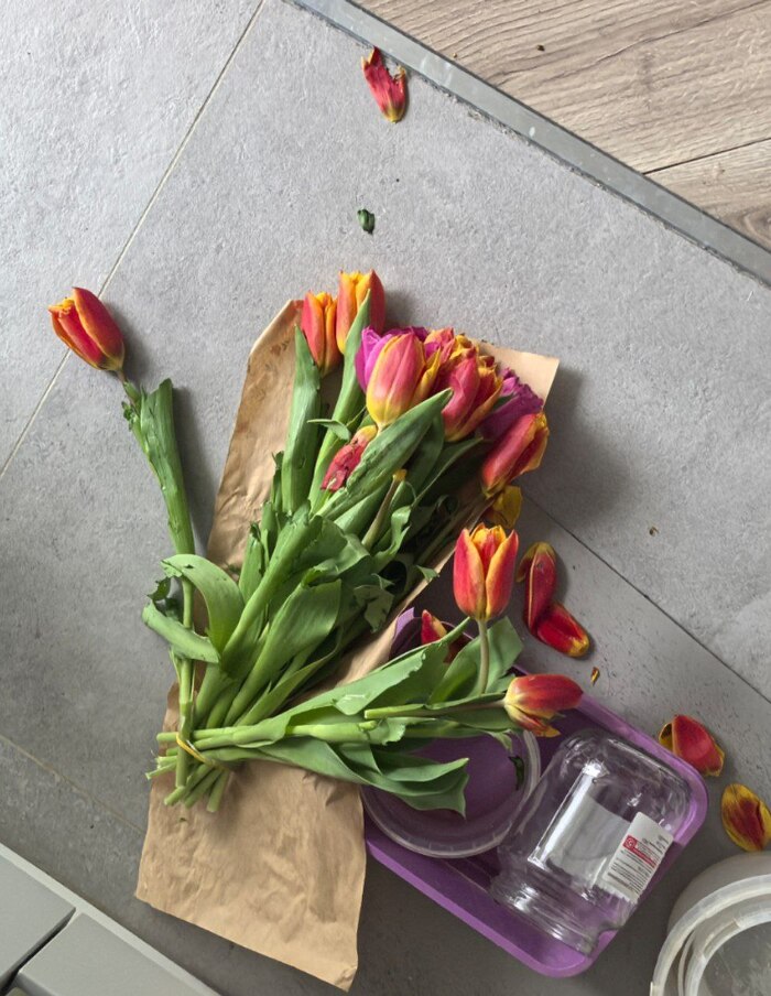 ���� � �����