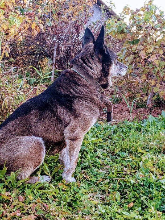 166 ���� ������� #167 (��������)