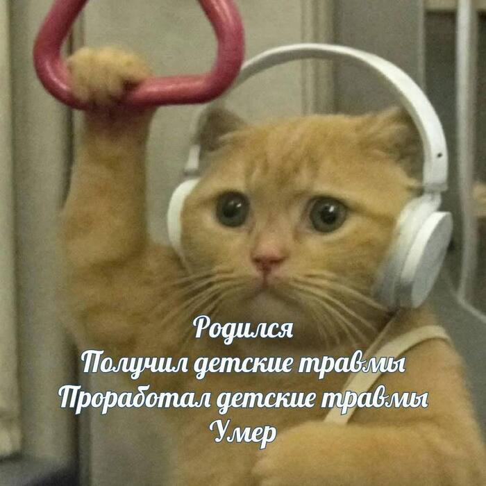 �������� ������, ���������!