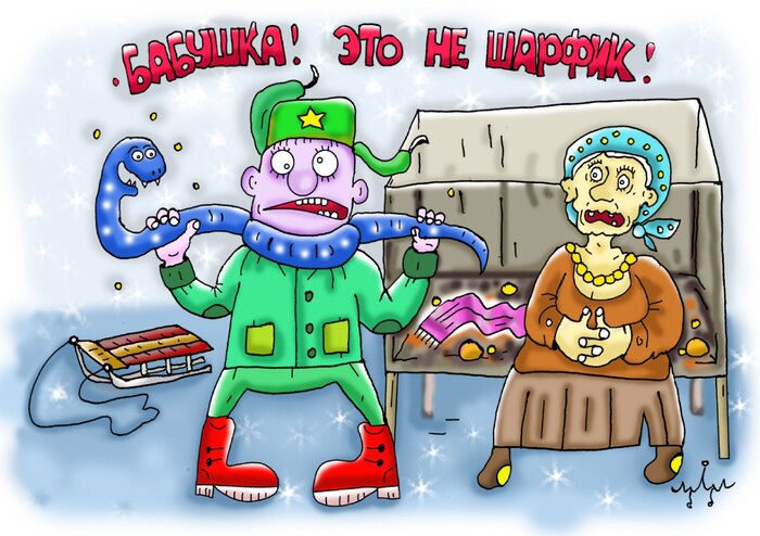 �����������