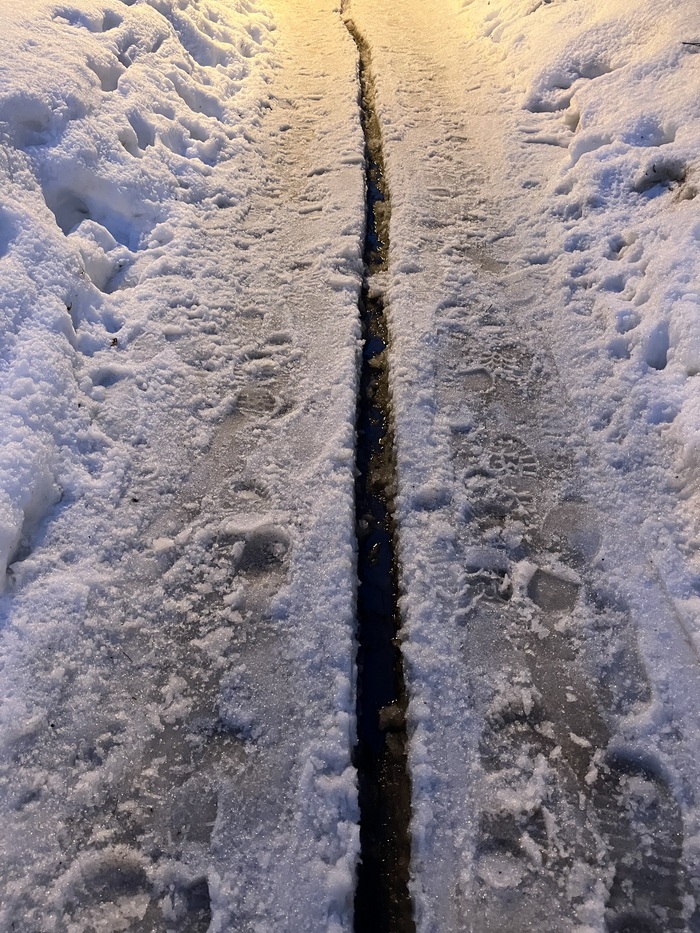 График роста сервисов доставки