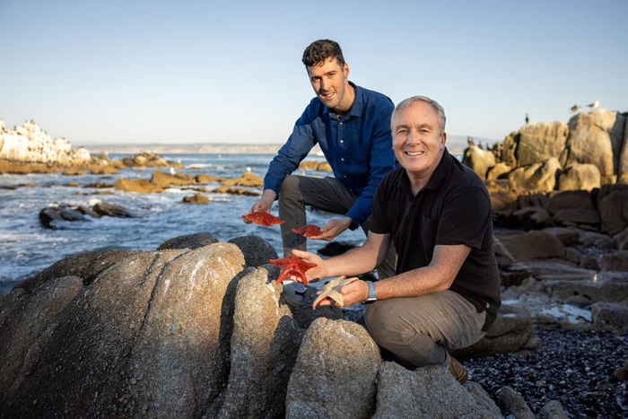 ������ ������������ ����� ������� � ��������� ���