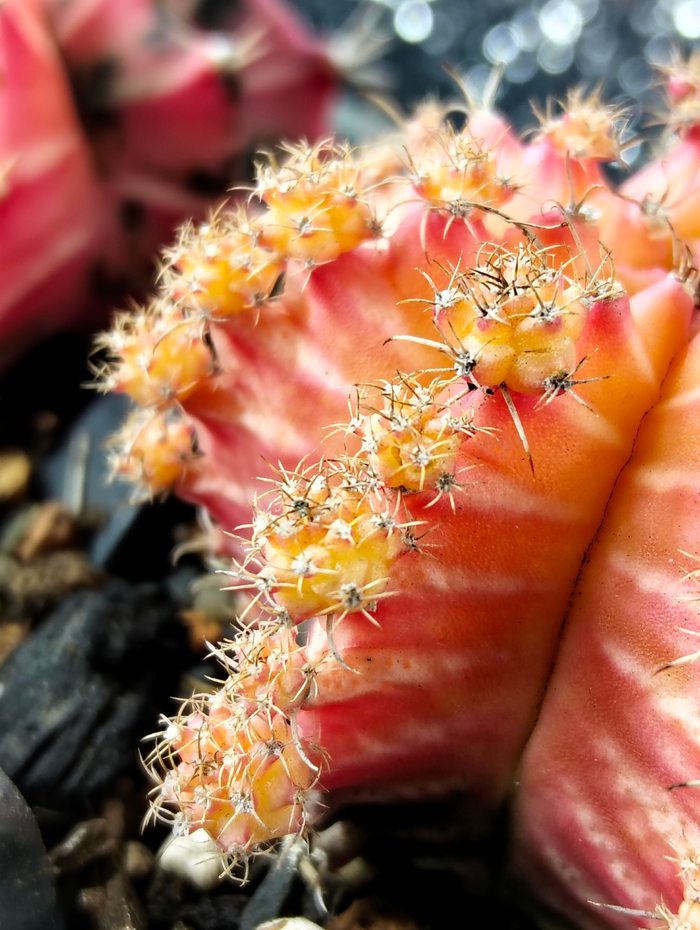 ����������� ������