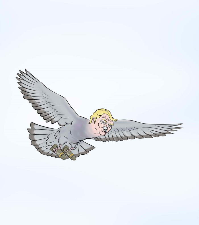 ������ ����