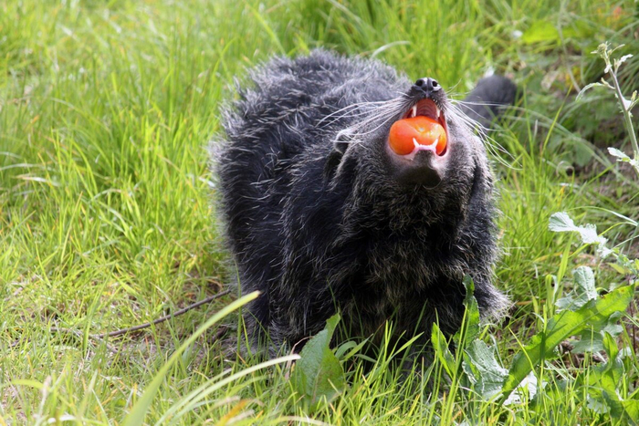 ������� ���� �� ����� ����������? ������ �� ��-���������� ������������. �� ������� ������� � ��������� �� ������. ������� ��� ������� ��� ����������.