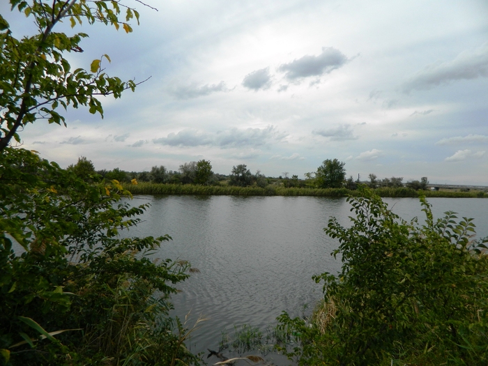 � ��� ����������