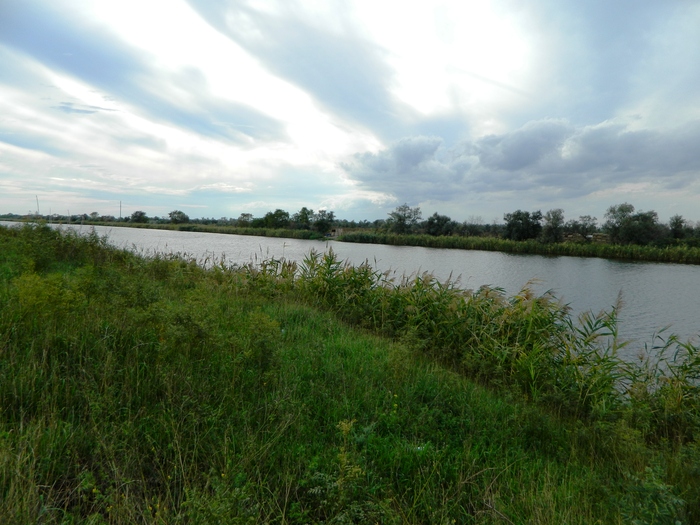 ��� �� ������ ������, ����� ����� ����� ��������