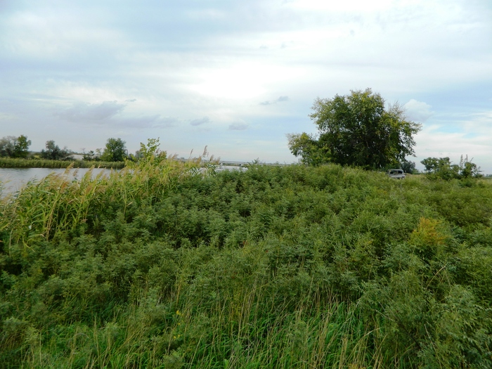 ���� ����������, �� ��� ����� ������ �� ������� ����