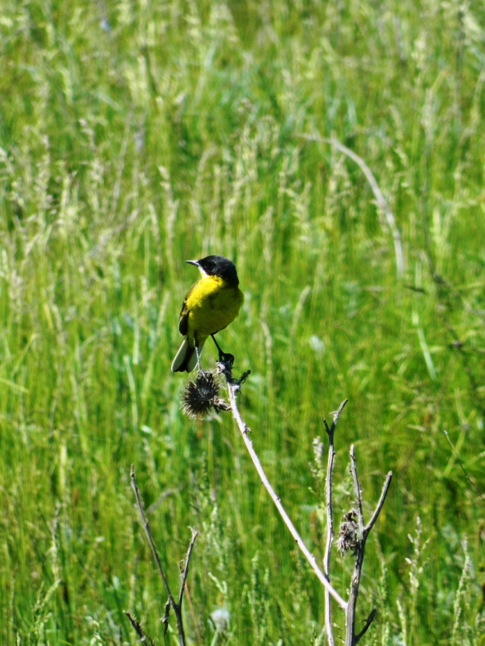 ����, �� ���� ��������, �� ���� ��������