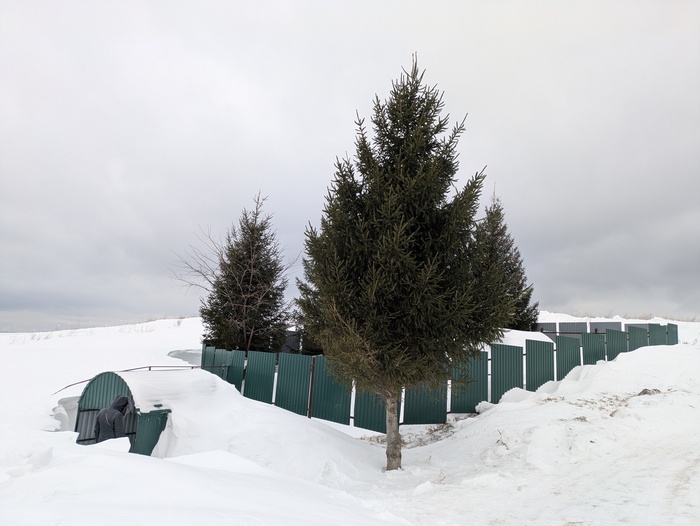 ������ ��������������