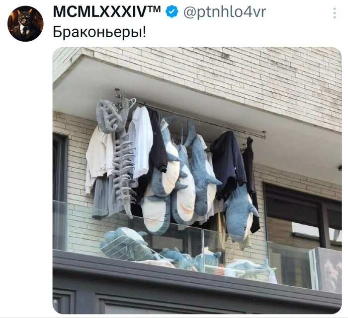 ����� ����������