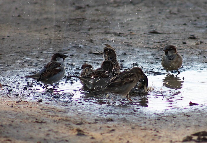 Водные процедуры