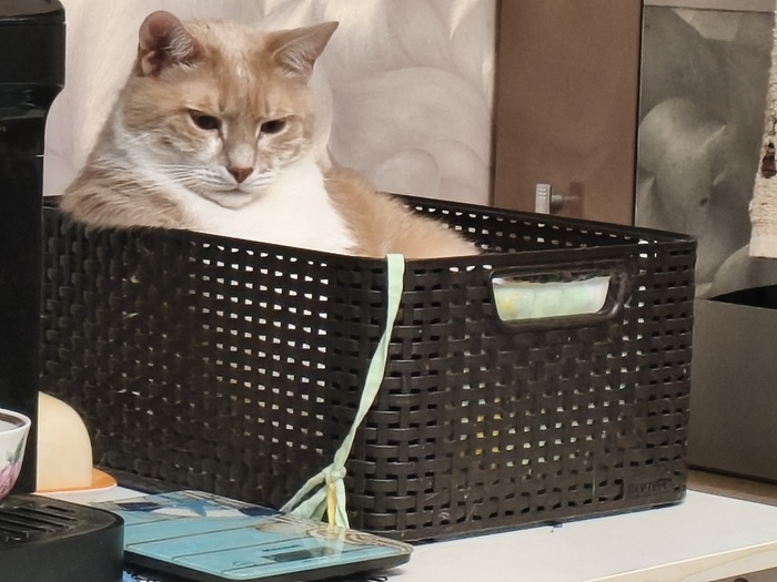 ����: ��� ���������� ����?