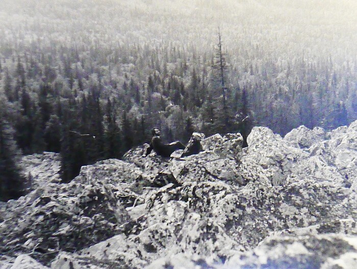 20 ��� � ����������� ��������� ������