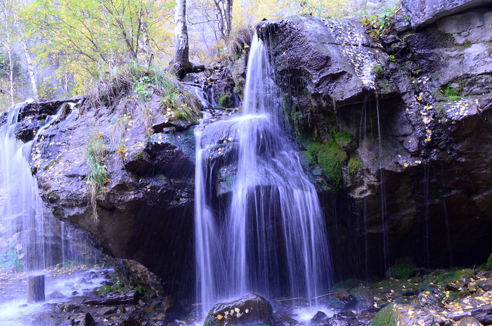 ������ ������� �������� �������������, ������ ����� ��������������� ������ ���� � ���