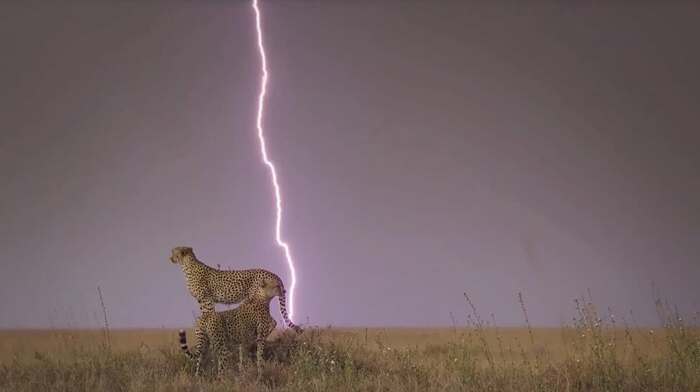 ������� � ������