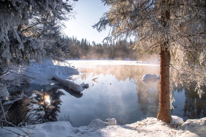 Последние морозные дни