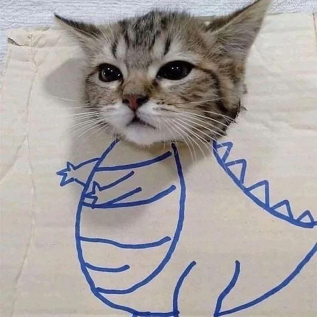 ������������ ����������