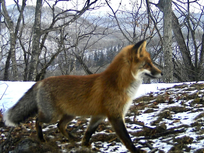 �������� ������