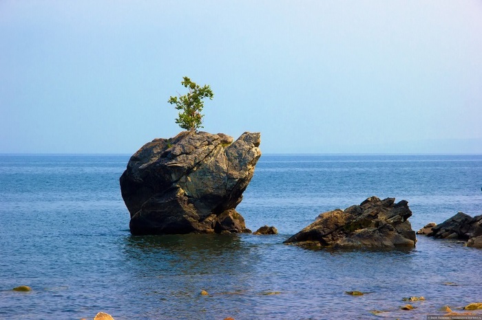 ���� � �����. ����: ���� ��������