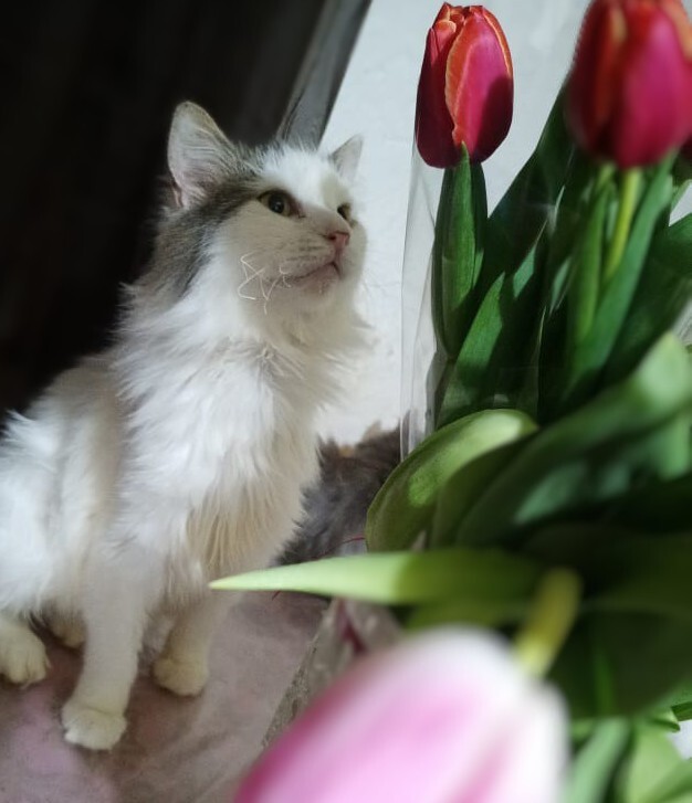 ��������