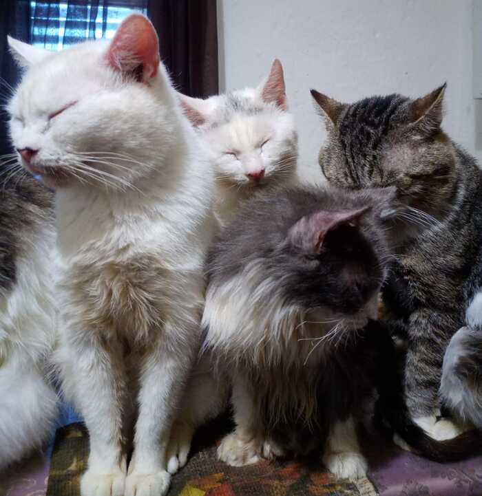 ������ ,����� ,������� ��������