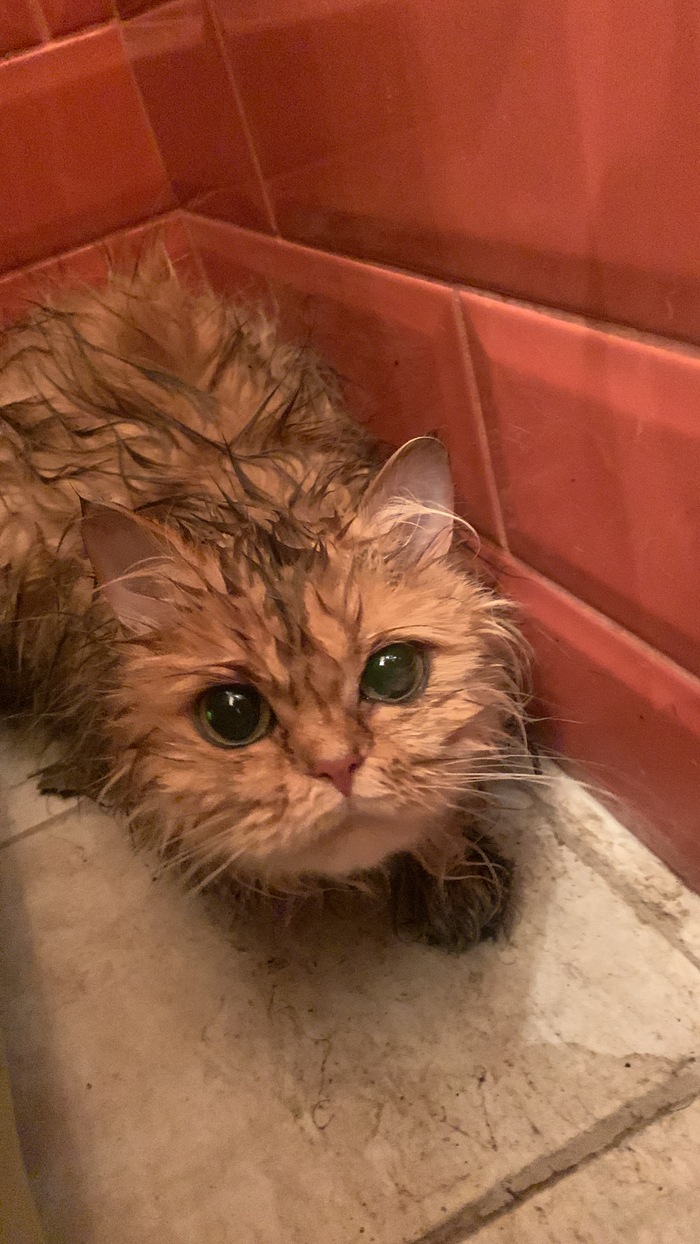 ����� �� ������� � ������