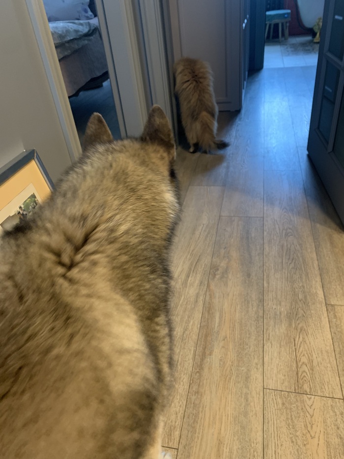 ���� �������, ������, ������ �� �������� �����, ������� ������� �� ���������� ��� �������� ������. ϸ� ������� ��������, ����� �����.