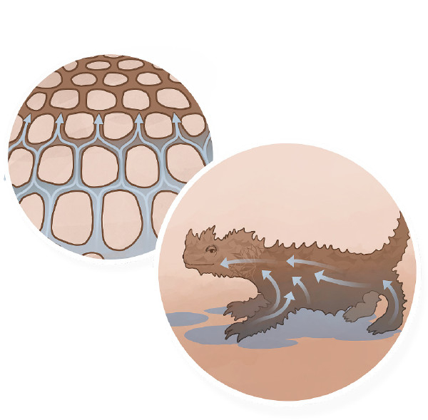 ��������� ���� ����������� ������ �������� ��������� ���� ���� �� ������� ����������.