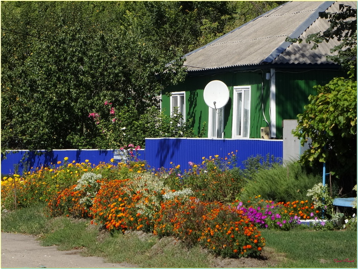 ������ �������