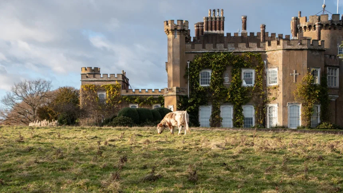 Пример восстановления биоразнообразия на старой ферме