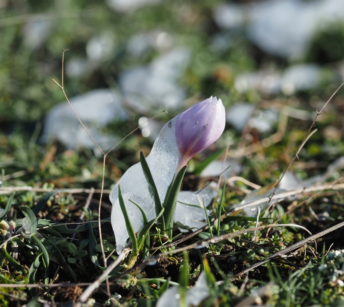 ������������� ���������� �� ������� ���� ����� � ���. ����, ����������� ��������. ���� �. ���������.