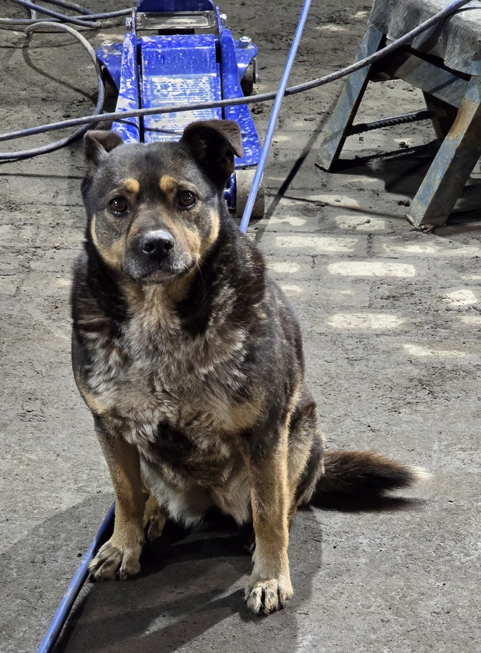 ϸ���� �������, ��������