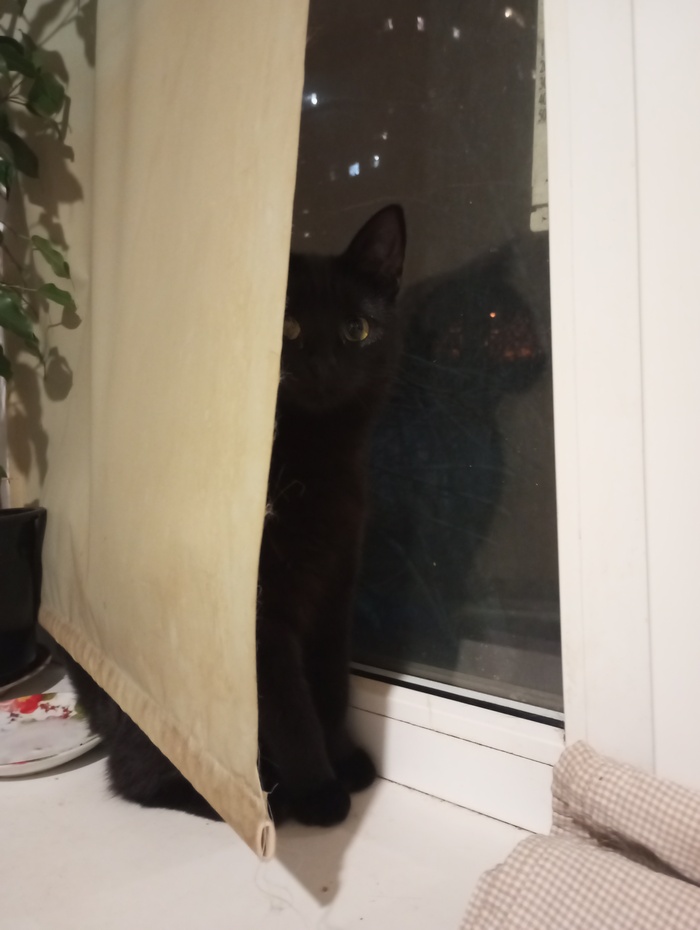 ����������, ��� ����. ��� ���� ���� ���������� �� ��������. � ����� � �� �������� ����� ������, ���� ������� ����������. ��� ������ ��� ����� ������������ ���������)) 