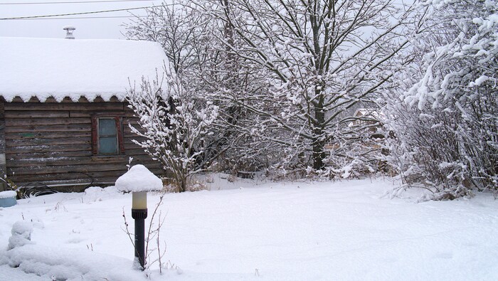 �����-����� ����