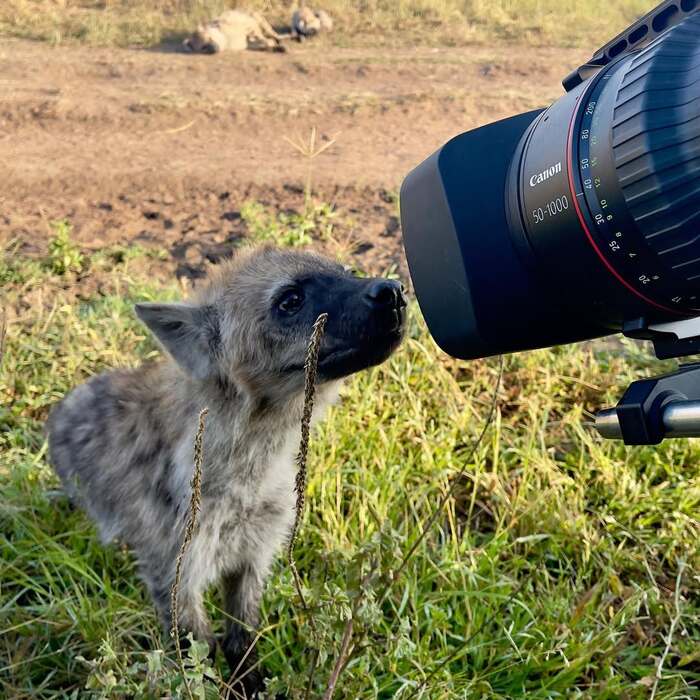 �� �����, ����� ����, ��������