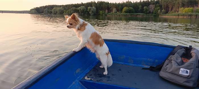 ����... ��� �������?